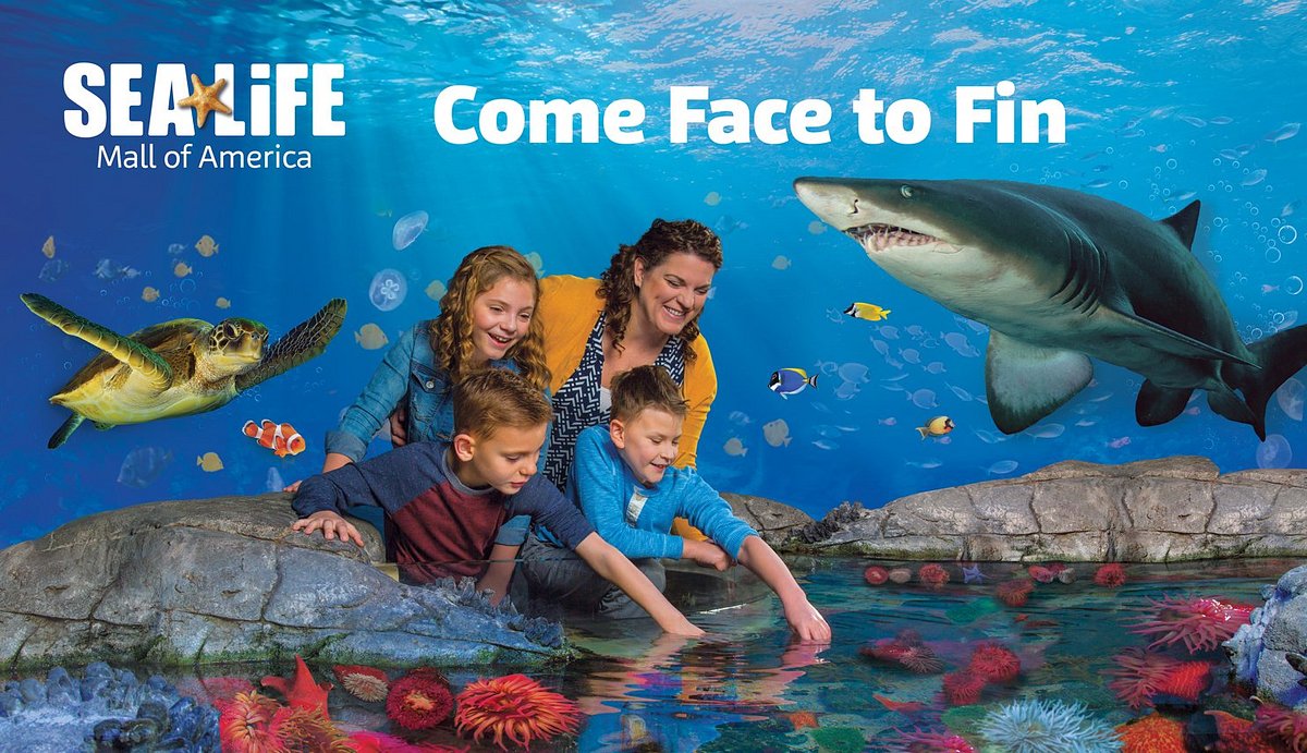 Mall of America - SEA LIFE Aquarium on Level 1, East has