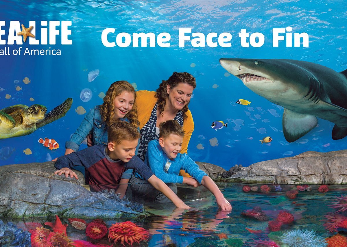 Sea Life Minnesota Aquarium в Mall of America. Sea Life Копенгаген. Champion Sea Life. Fruttela Sea Life. Отзыв sea life
