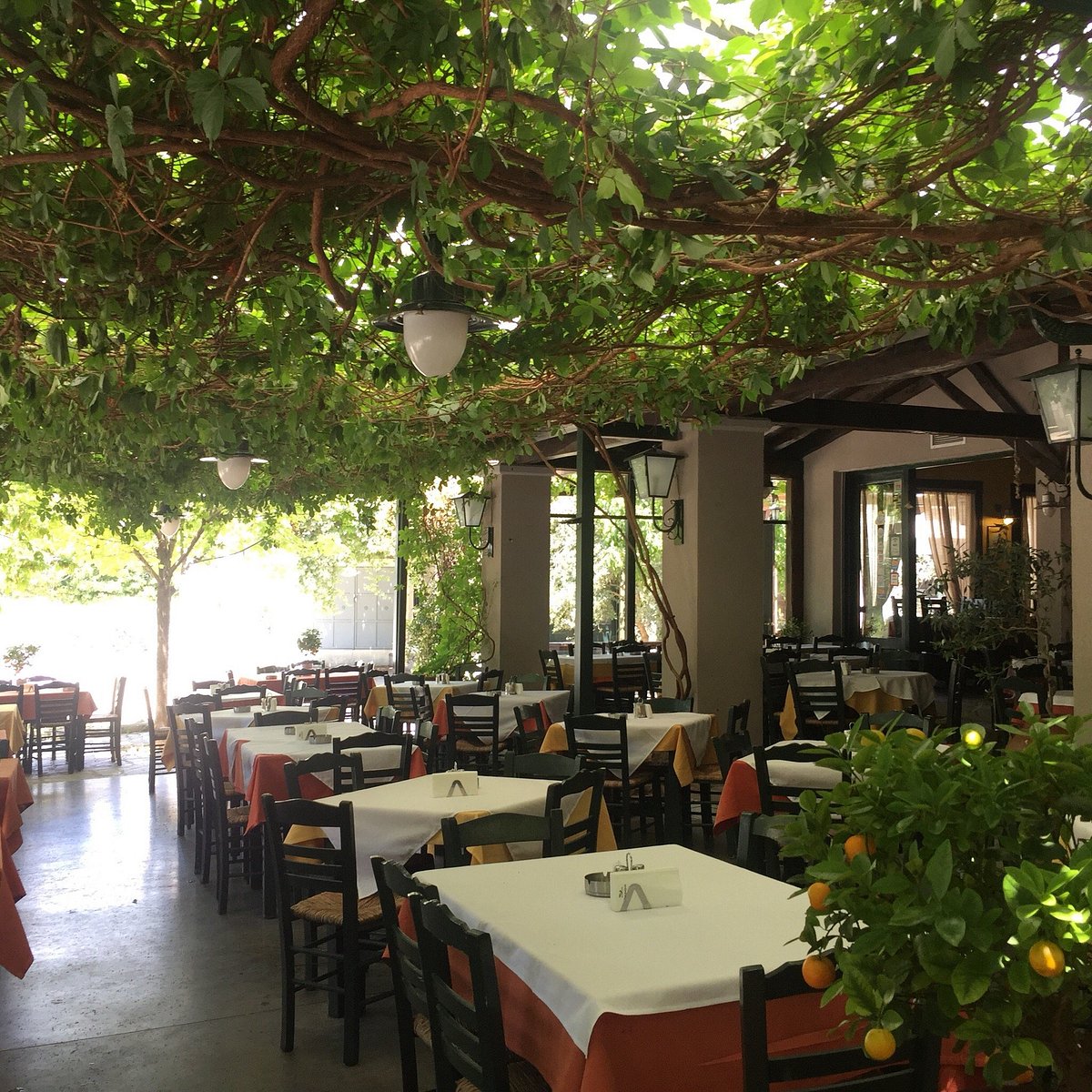 MOURAGIO, Gerakini - Menu, Prices & Restaurant Reviews - Tripadvisor