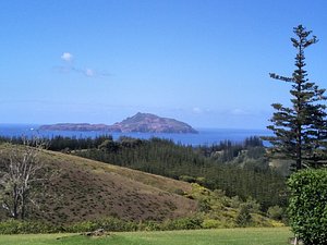 Seaview Norfolk Island in Norfolk Island, image may contain: Tree, Fir, Wilderness, Slope