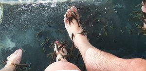 fish spa big buddha - Picture of Dr Fish, Ko Samui - Tripadvisor