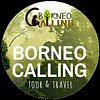Borneo Calling