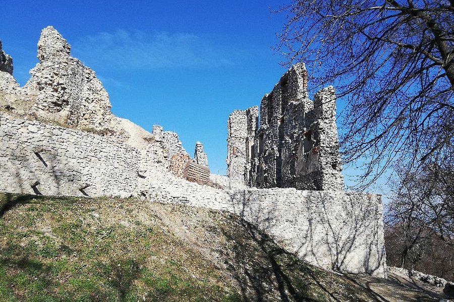 Oponice Castle image