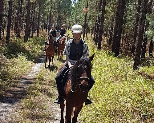 horse riding tours queensland