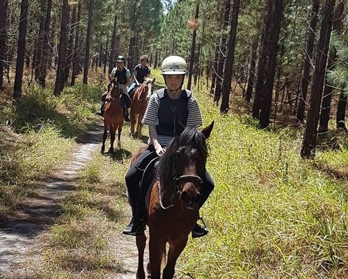 The Best Caboolture Horseback Riding Tours (updated 2024)