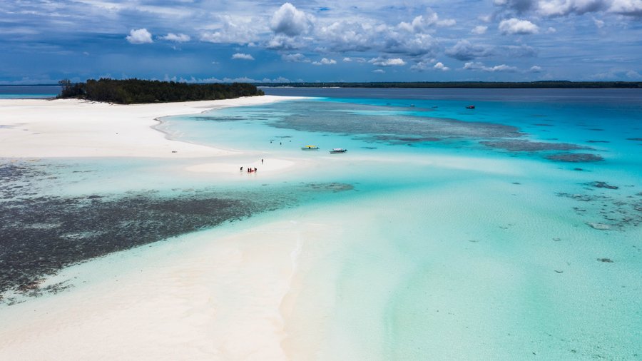 Mnemba Island