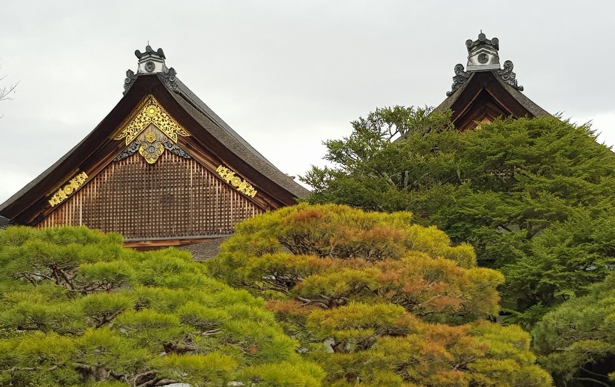 京都御所 口コミ 写真 地図 情報 トリップアドバイザー