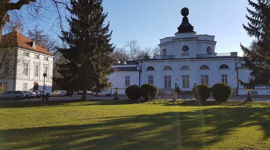 Wiosna w parku.