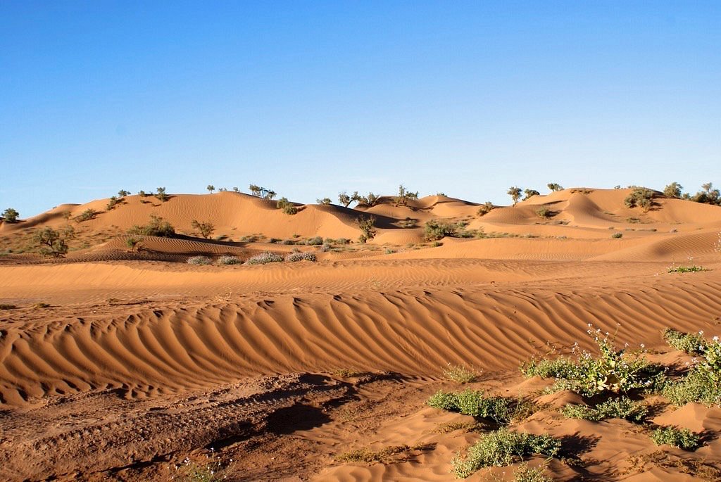 maroc trek desert emotion