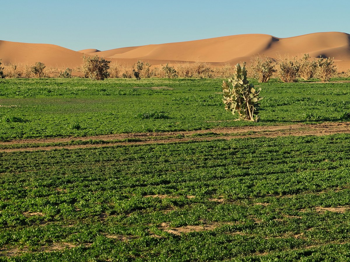 maroc trek desert emotion