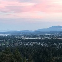 From the top of Cottle Hill