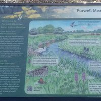 Purwell Meadows Nature Reserve.