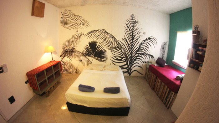 LA CASONA ART & RECYCLING - Prices & Hostel Reviews (Cozumel, Mexico)