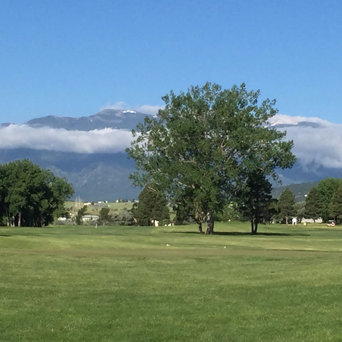 HOLLYDOT GOLF COURSE (Colorado City) What to Know BEFORE You Go