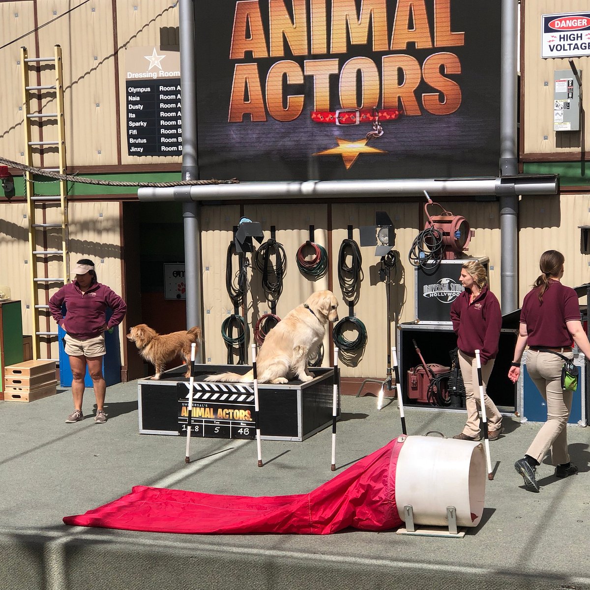 Universal's Animal Actors (Los Angeles) - All You Need to Know BEFORE You Go