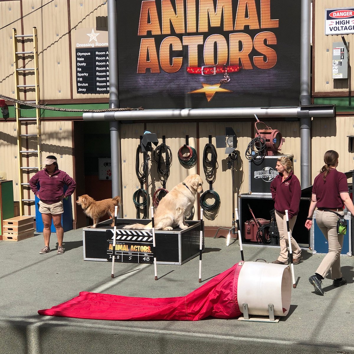 Universal's Animal Actors (Los Angeles) - All You Need to Know BEFORE You Go Universal's Animal Actors (Los Angeles) - All You Need to Know BEFORE You Go