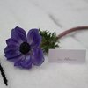 leblancflower