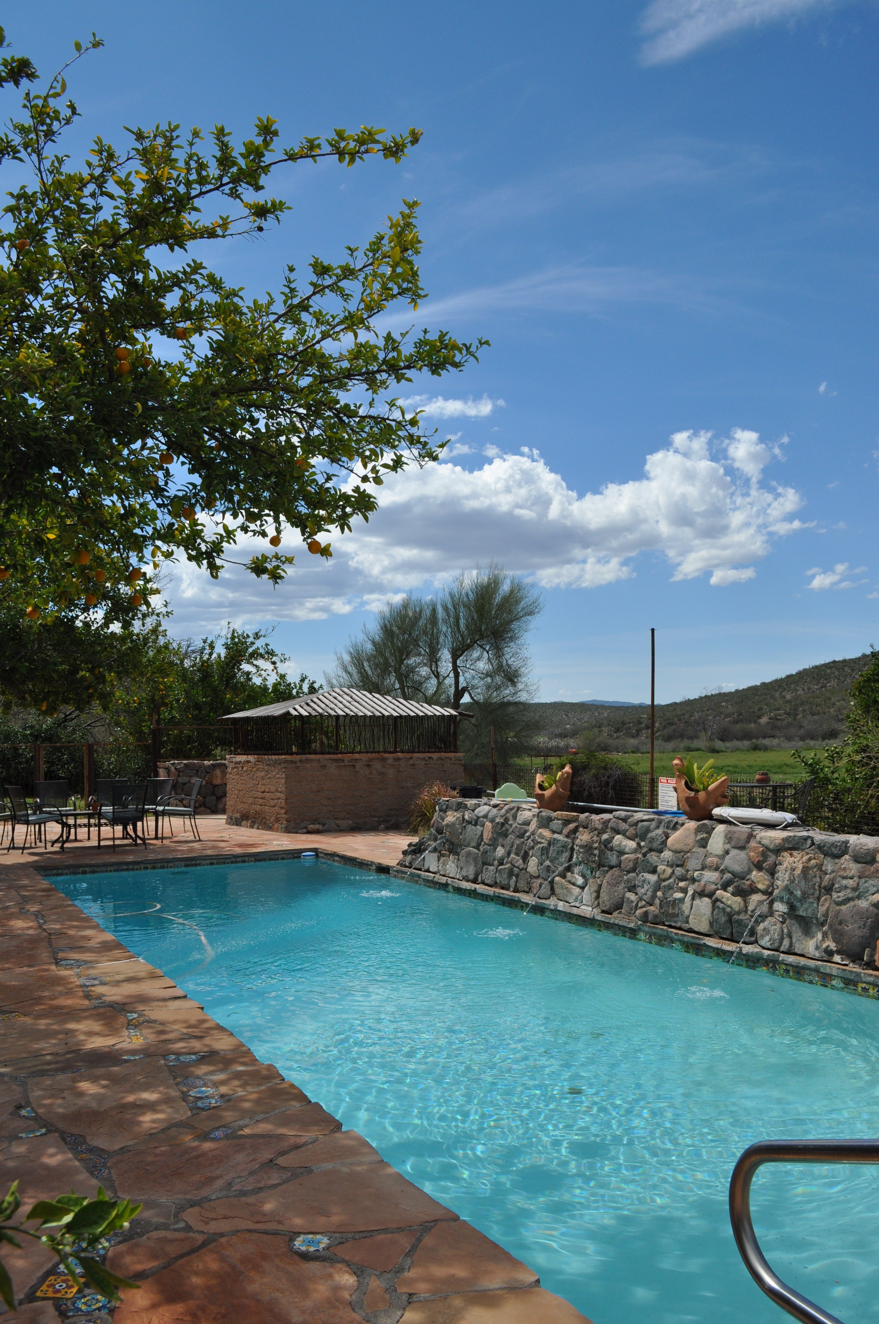 Aravaipa Farms Orchard And Inn Pool: Pictures & Reviews - Tripadvisor