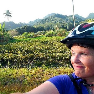 you can rent bicycles and scooters through Polynesian Car rental - they are super nice. I rented a bicycle and road all over Rarotonga!