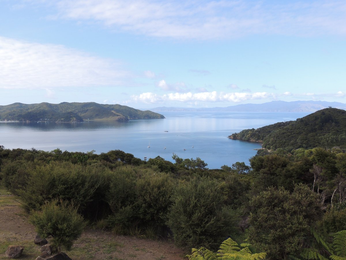 TRILLIUM LODGE - Guest house Reviews (Great Barrier Island/Tryphena ...