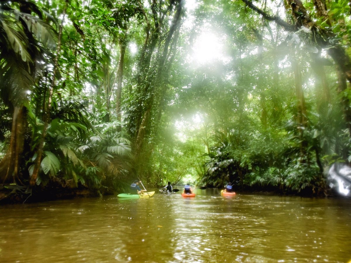 Tortuguero Tours - All You Need to Know BEFORE You Go (2024)