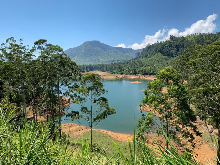 AYOS HILL ADAM'S PEAK (Nallathanniya, Sri Lanka) - opiniones y precios