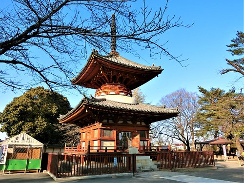 THE 15 BEST Things to Do in Saitama Prefecture - 2024 (with Photos) -  Tripadvisor