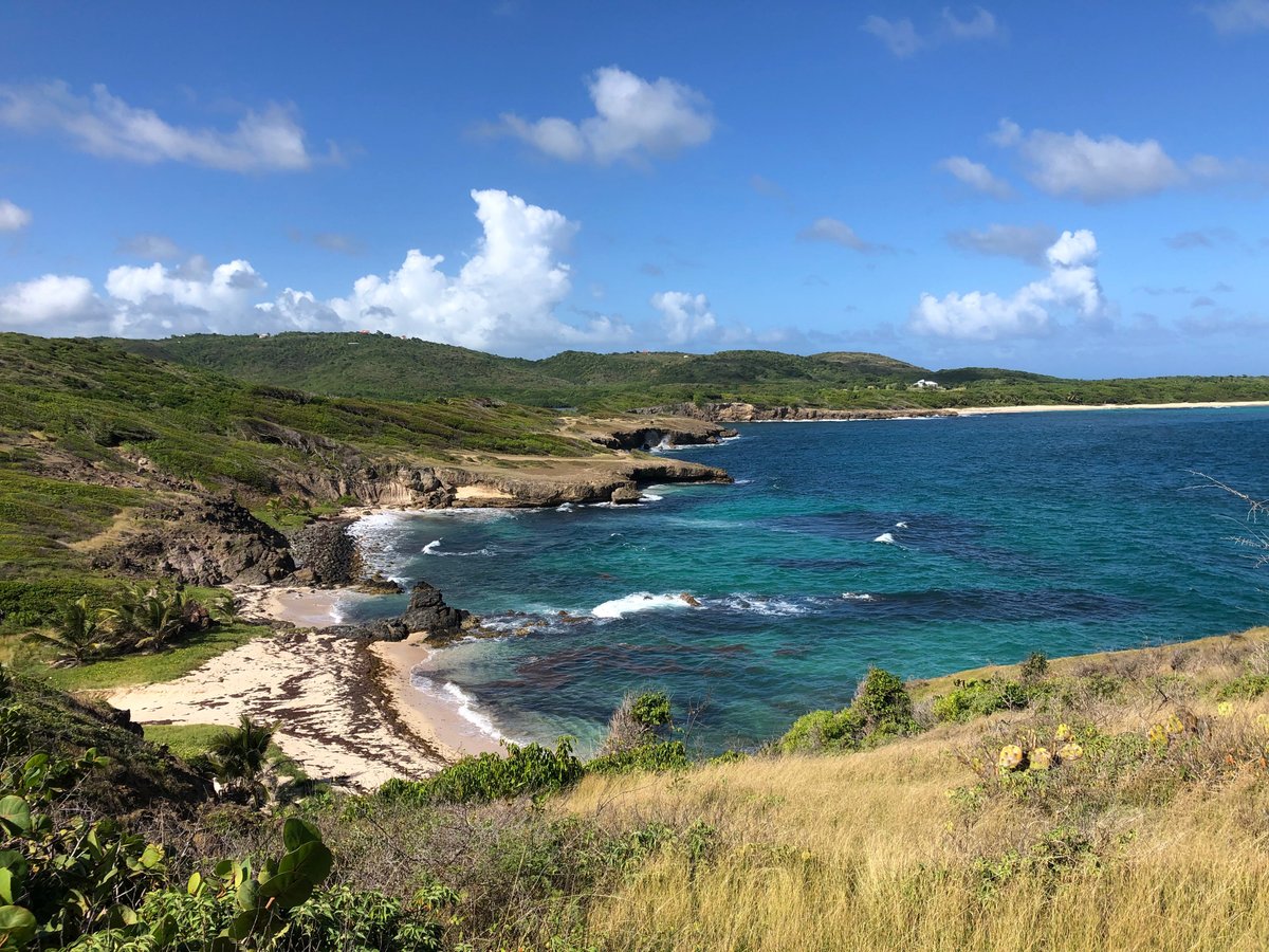 Best Top 7 Trending Hikes In Martinique 2023