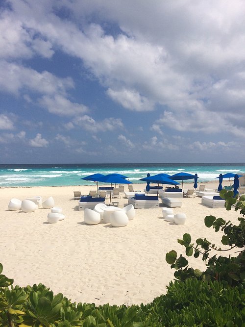 live aqua beach resort cancun tripadvisor