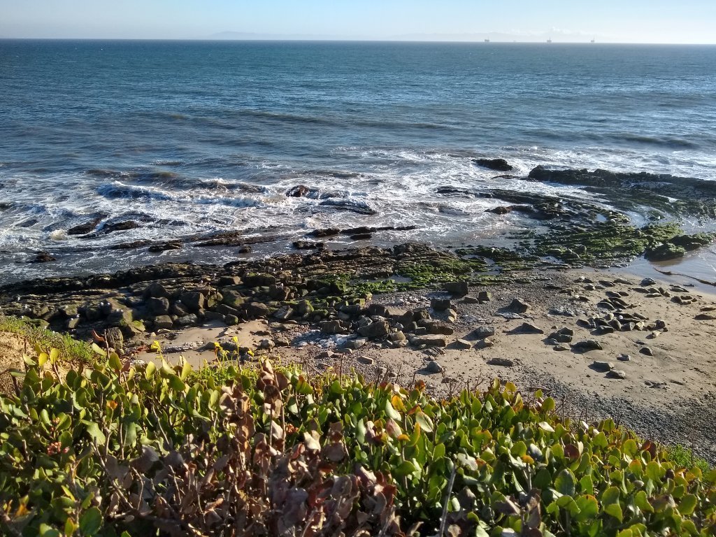 Carpinteria Harbor Seal Preserve and Rookery - All You Need to Know ...