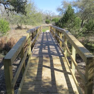 are dogs allowed hamilton pool preserve tripadvisor