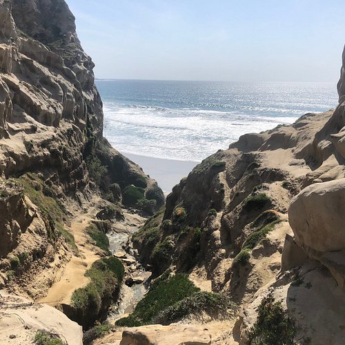 Best Hiking Near Downtown San Diego - Fashion Jackson