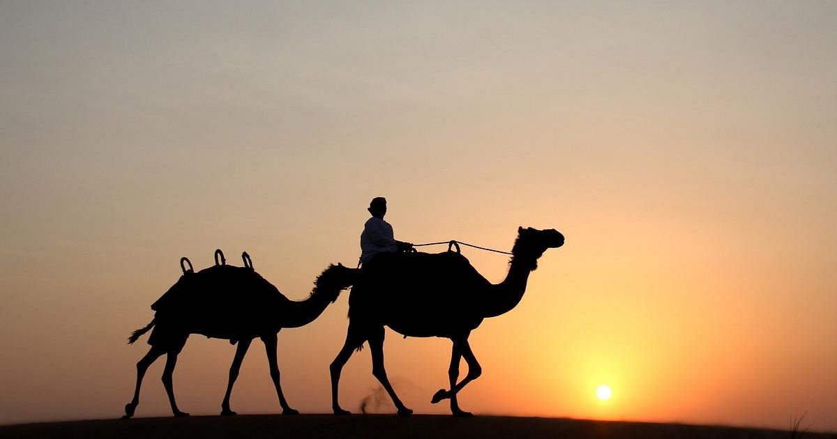 Dubai heritage. Верблюд в пустыне. Верблюд на закате. Караван верблюдов на закате. Бедуин на верблюде в пустыне.