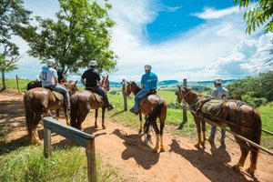 Top Sector: Hotel Fazenda Campo dos Sonhos, na Estância