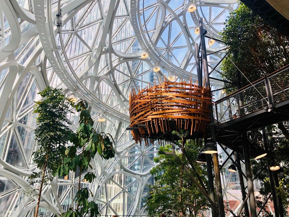 Amazon Spheres Seattle All You Need To Know Before You Go