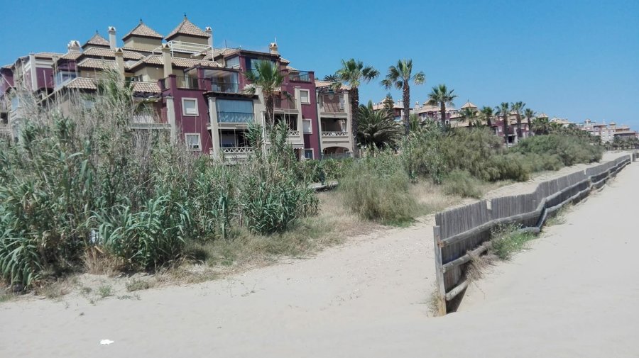 Apartamentos Alcaudon