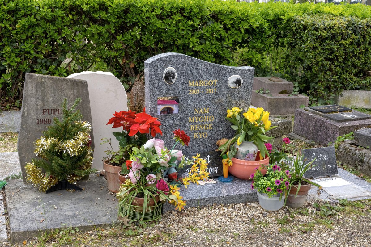 Cemetery of the Dogs (Cimetiere des Chiens), Аньер-сюр-Сен - Tripadvisor