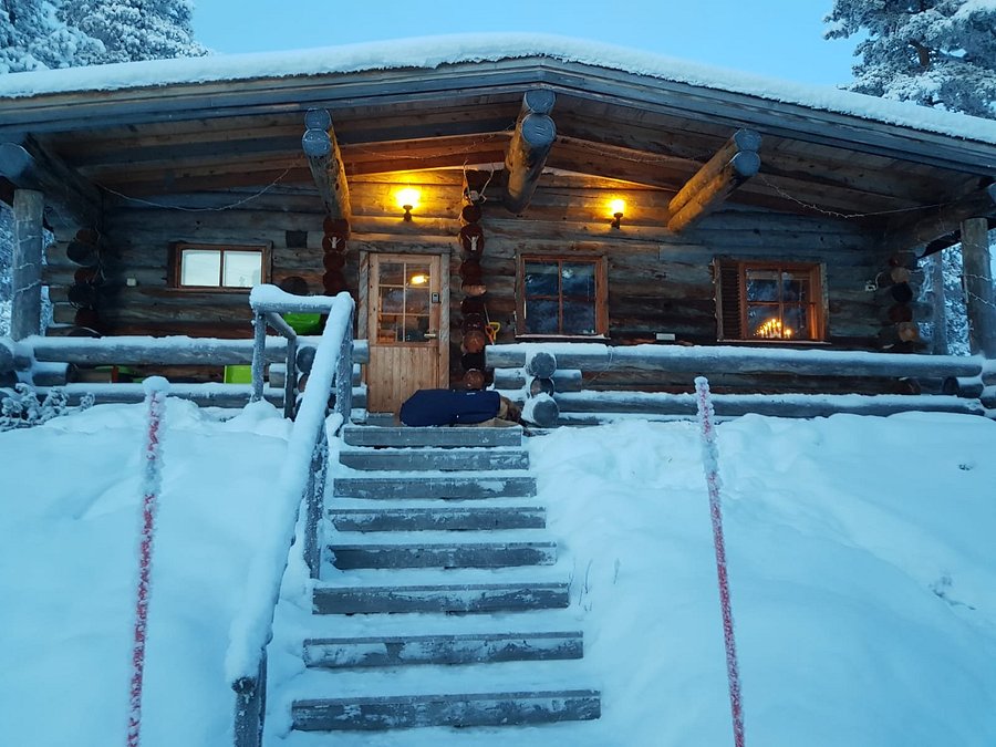 La Ferme Des Huskies   LA FERME DES HUSKIES