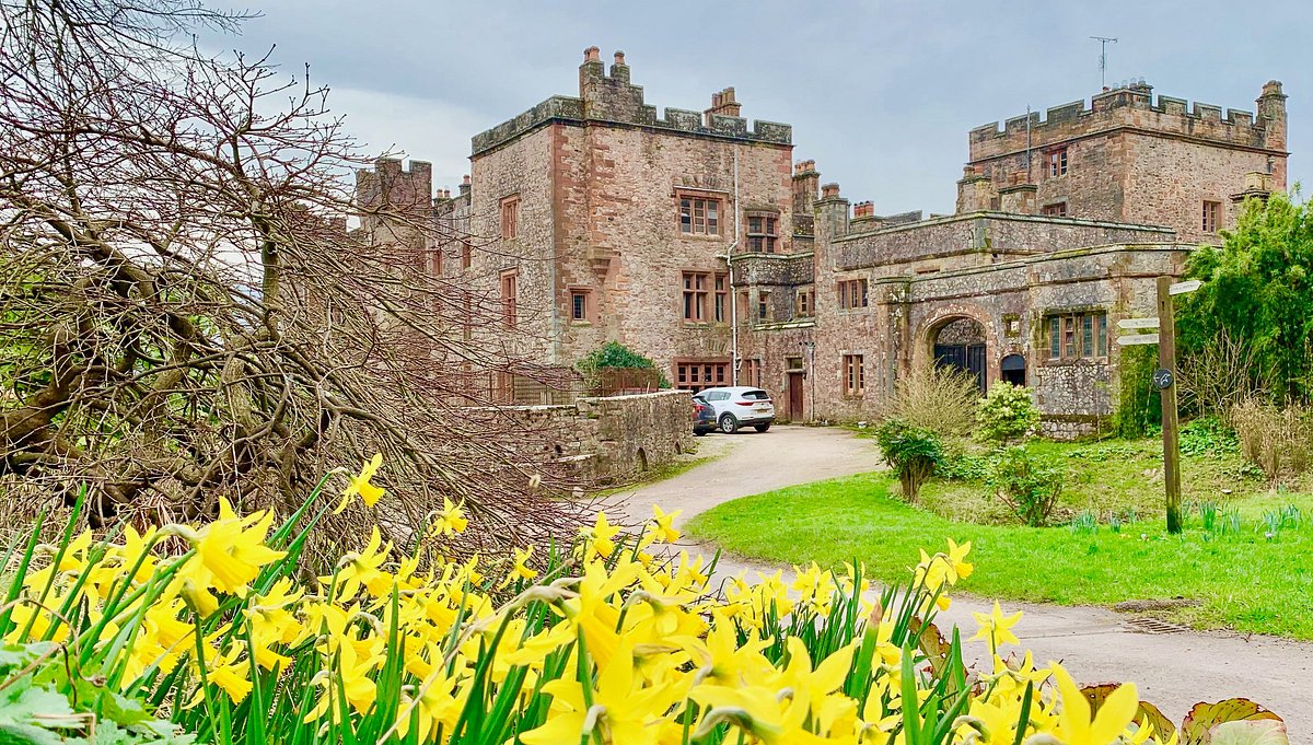 Muncaster Castle (Ravenglass) Lo que se debe saber antes de viajar