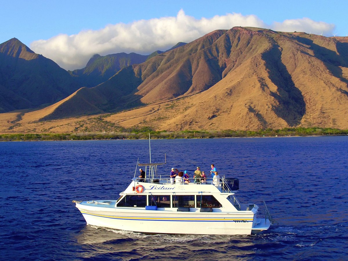 boat trips maui