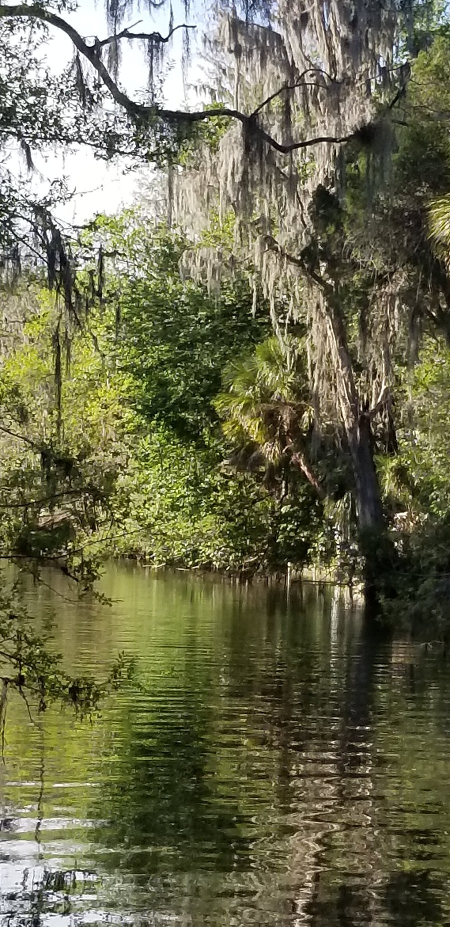 Hidden River Rv Resort Prices Campground Reviews Riverview Fl Tripadvisor