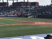 Fans in the lawn seating - Picture of Sloan Park, Mesa - Tripadvisor