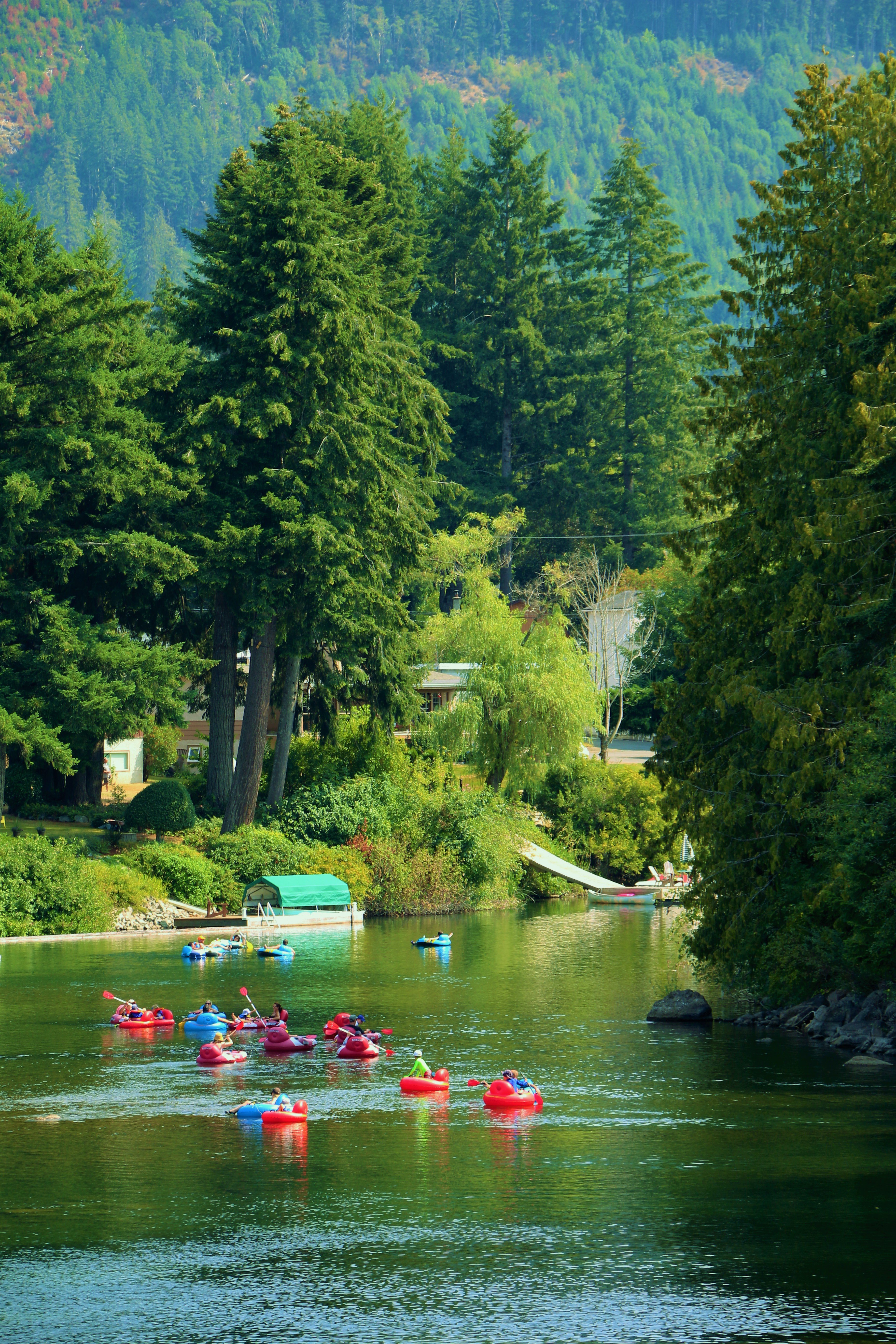 COWICHAN RIVER TUBING - THE TUBE SHACK (Lake Cowichan) - Qué SABER ...