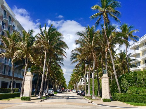 5 Things You Didn't Know You Could Do In Palm Beach, Florida On A