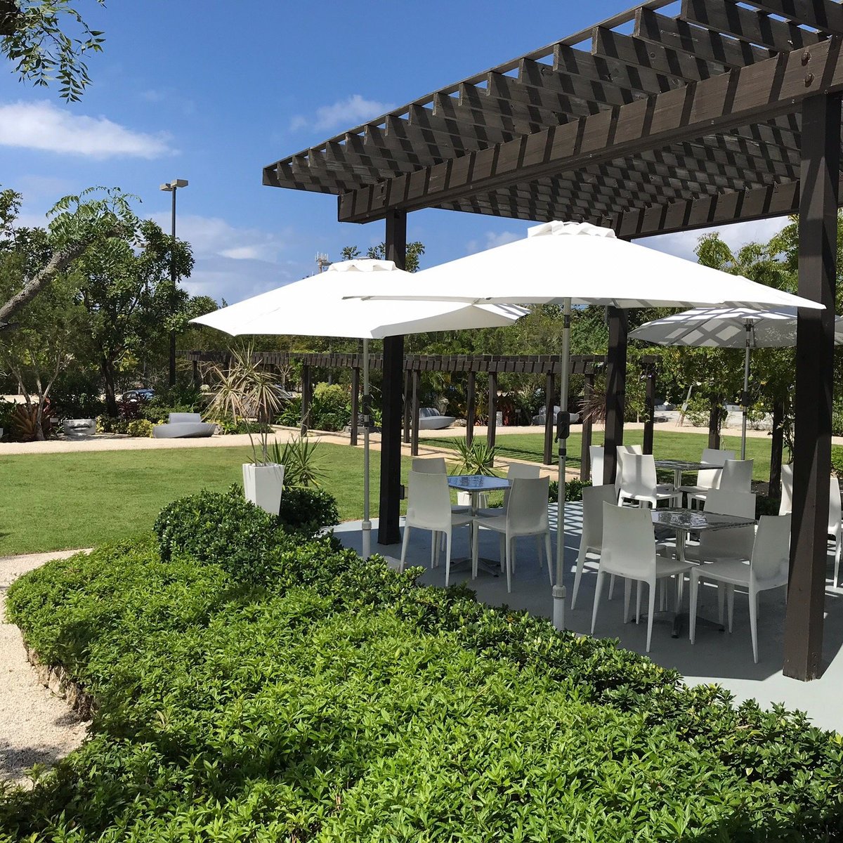 National gallery of the cayman islands all you need to know before