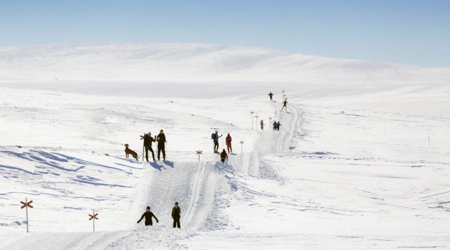 Tips! Solskensturen är en lättåkt tur från Knallen till Tänndalen, därifrån tar man skidbussen hem. Läs mer på:

https://www.funasfjallen.se/vinter/aktiviteter/13-solskensturen-bruksvallarna-tanndalen/