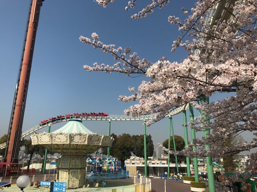 近畿地方の遊園地 ベスト10 トリップアドバイザー