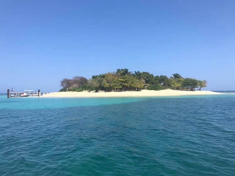 Amiga Island image