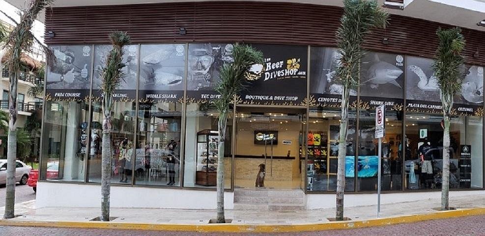 best dive shops in playa del carmen