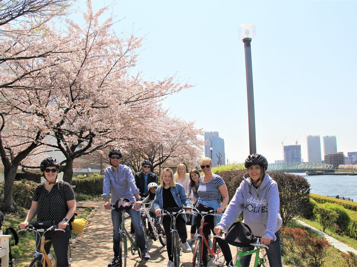 Small-Group Tokyo Biking Tour